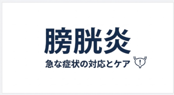 【膀胱炎の症状・治療】排尿時の痛みや頻尿のご相談|志木・新座の泌尿器科の画像